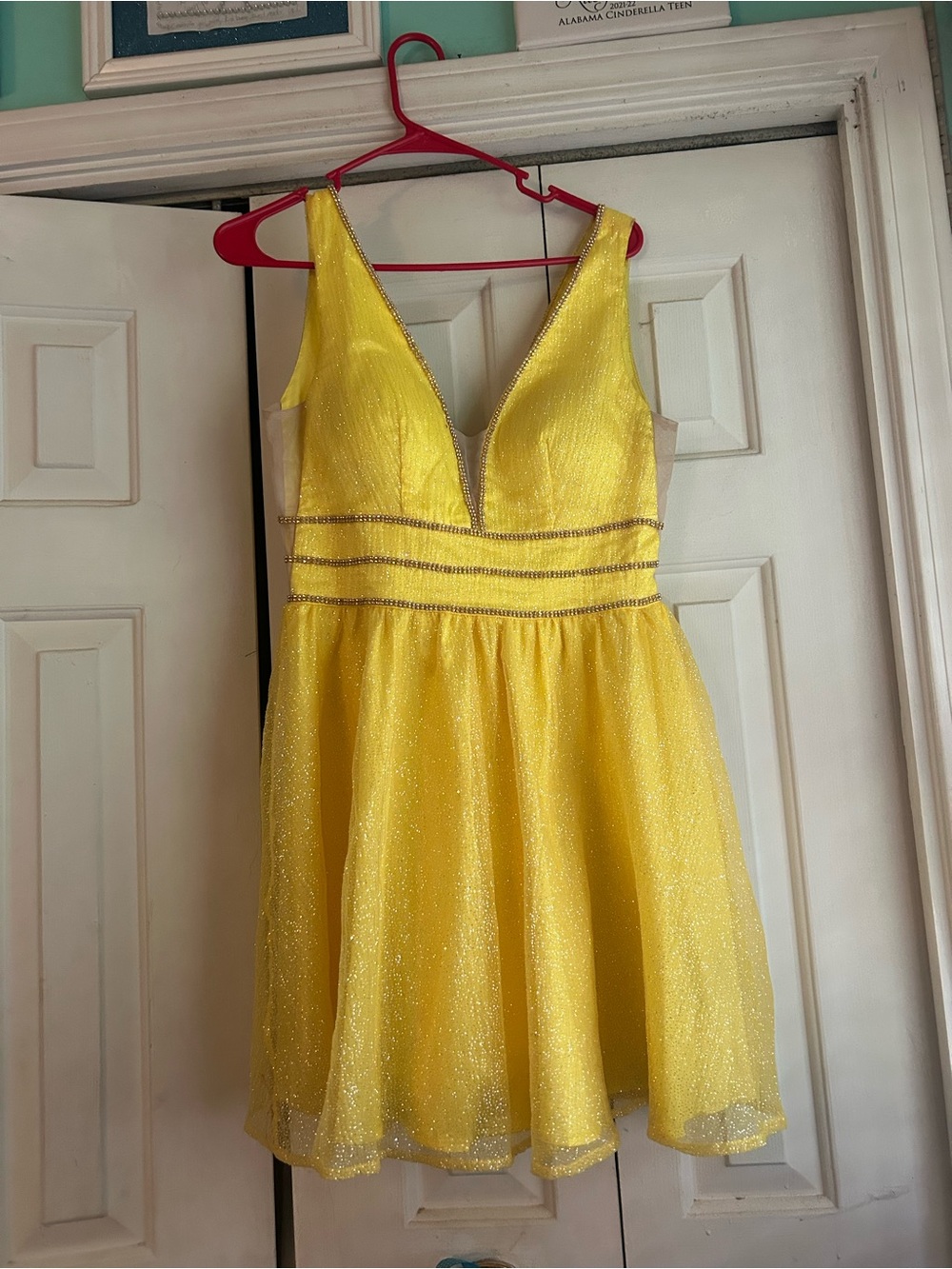 Juniors Large Ricaria Homecoming dress